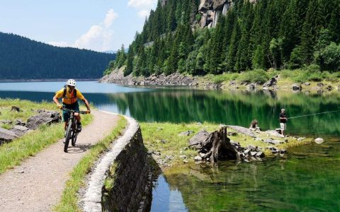 Paneveggio Parco Naturale | FassaBike | MTB Tours in Val di Fassa