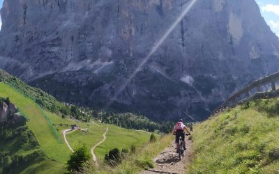 Latemar – Catinaccio – Sciliar – Sassolungo